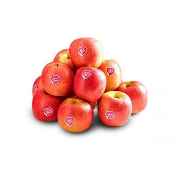Apple Pink Lady France