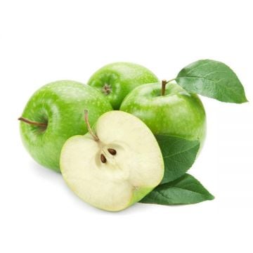 Apple Green Italy