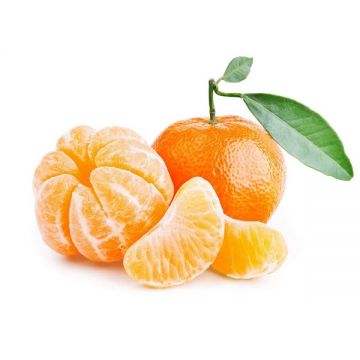 Mandarine Nova South Africa