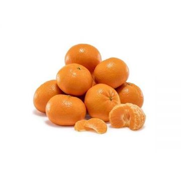Mandarine South Africa