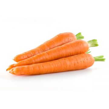 Carrot Loose Australia