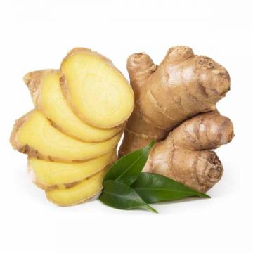 Ginger China