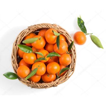 Mandarine Cyprus