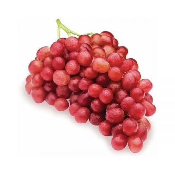 Grape Red Seedless Egypt