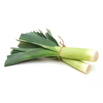 Leeks Holland