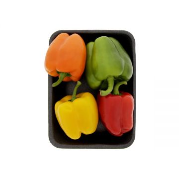 Capsicum Mix 450gm Holland