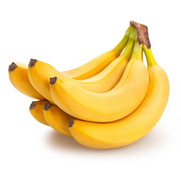 Banana Yellow India