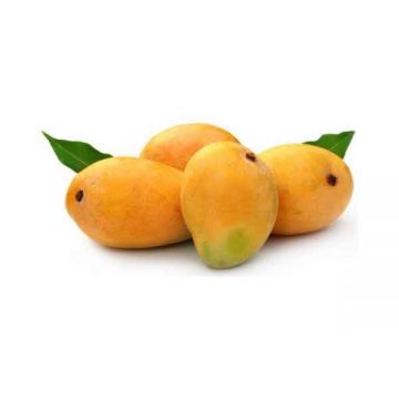 Mango Alphonso India