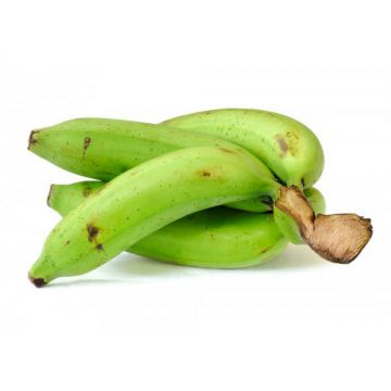 Banana Green India