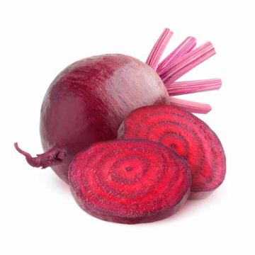 Beet Root Iran