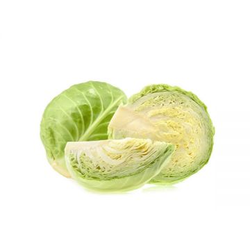 Cabbage White Clean Iran
