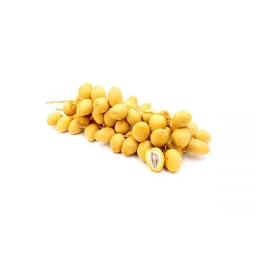 Dates Jordan