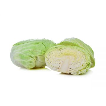 Cabbage Flat Jordan