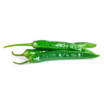 Chili Long Fat Jordan