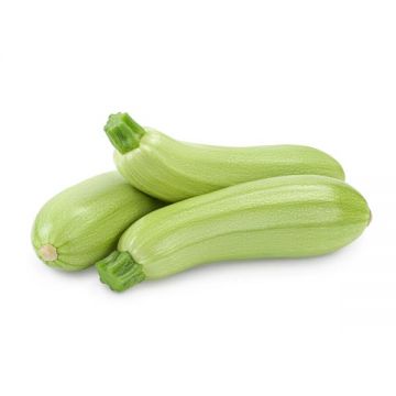 Marrow Jordan