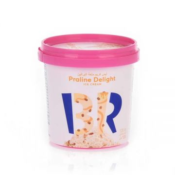 Baskin Robbins Ice Cream Praline Delight