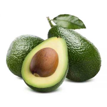 Avocado Kenya