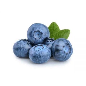 Blueberry 125gm Morocco