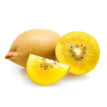 Kiwi Golden Newzealand