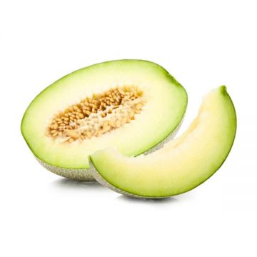 Honey Due Melon Oman