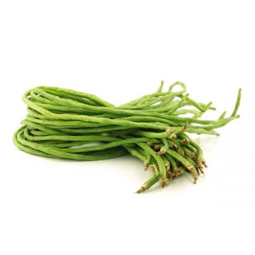 Beans Long Oman