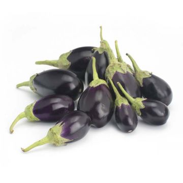 Eggplant Baby Oman