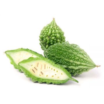 Karela Pakistan