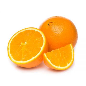 Orange Naval South Africa