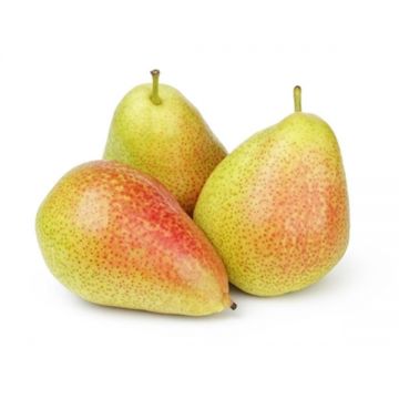 Pears Rosemary South Africa