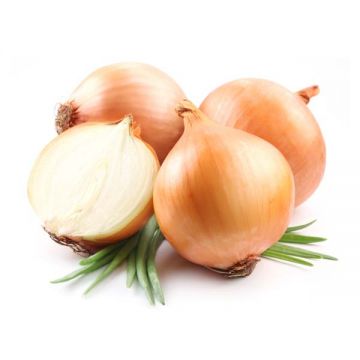 Onion Brown Australia