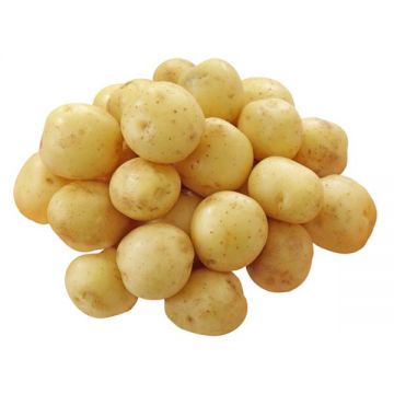 Potato Chat Australia