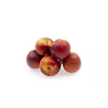 Nectarine Egypt