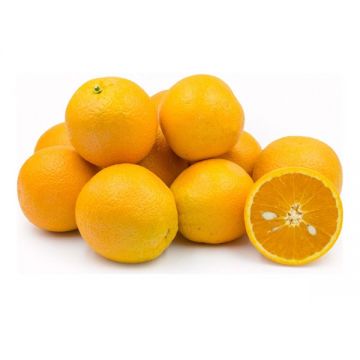 Orange Valencia Egypt
