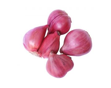 Shallot India