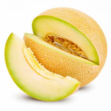Sweetmelon Iran