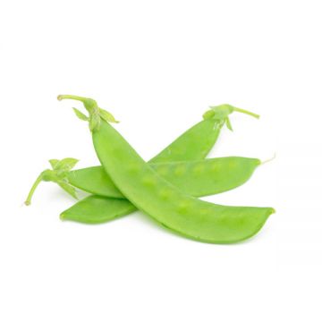 Snow Peas Kenya
