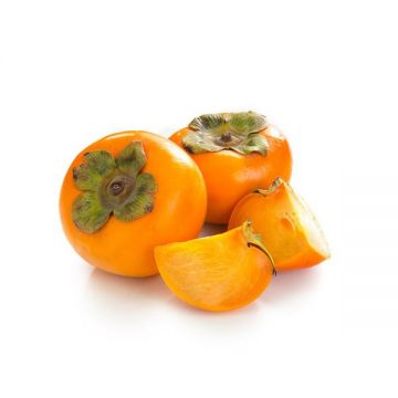 Kaka Fruit Spain