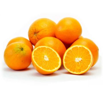 Orange Naval Spain