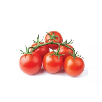 Tomato Bunch Uae