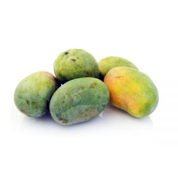 Mango Koleb Al Thour Yeman