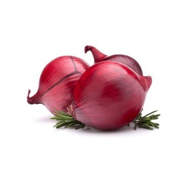 Onion 3 Kg Bag Pakistan