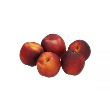 Nectarine 1kg Jordan