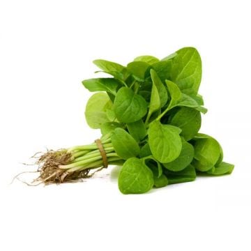 Spinach Baby 125gm Italy