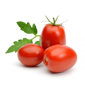 Tomato Cherry Plums 250gm Morocco