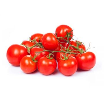 Tomato Cherry 250gm Spain