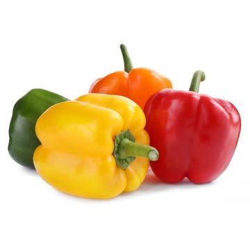 Capsicum Mix 450gm Uae