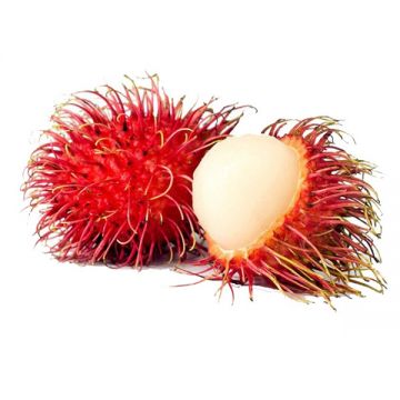 Rambutan Indonesia