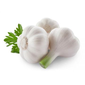 Garlic 450gm China