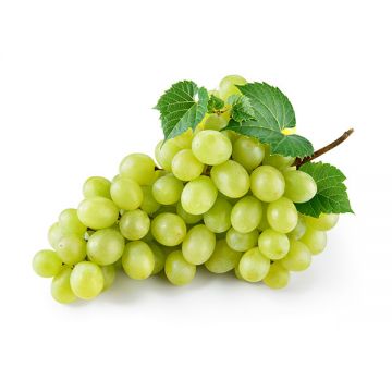 Grapes White 500gm Egypt