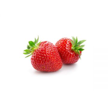 Strawberry 250gm Ethiopia